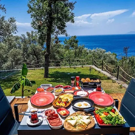 Βίλα Private Pool With Garden For 2 People In Faralya, - Awz 229 Φετιγιέ